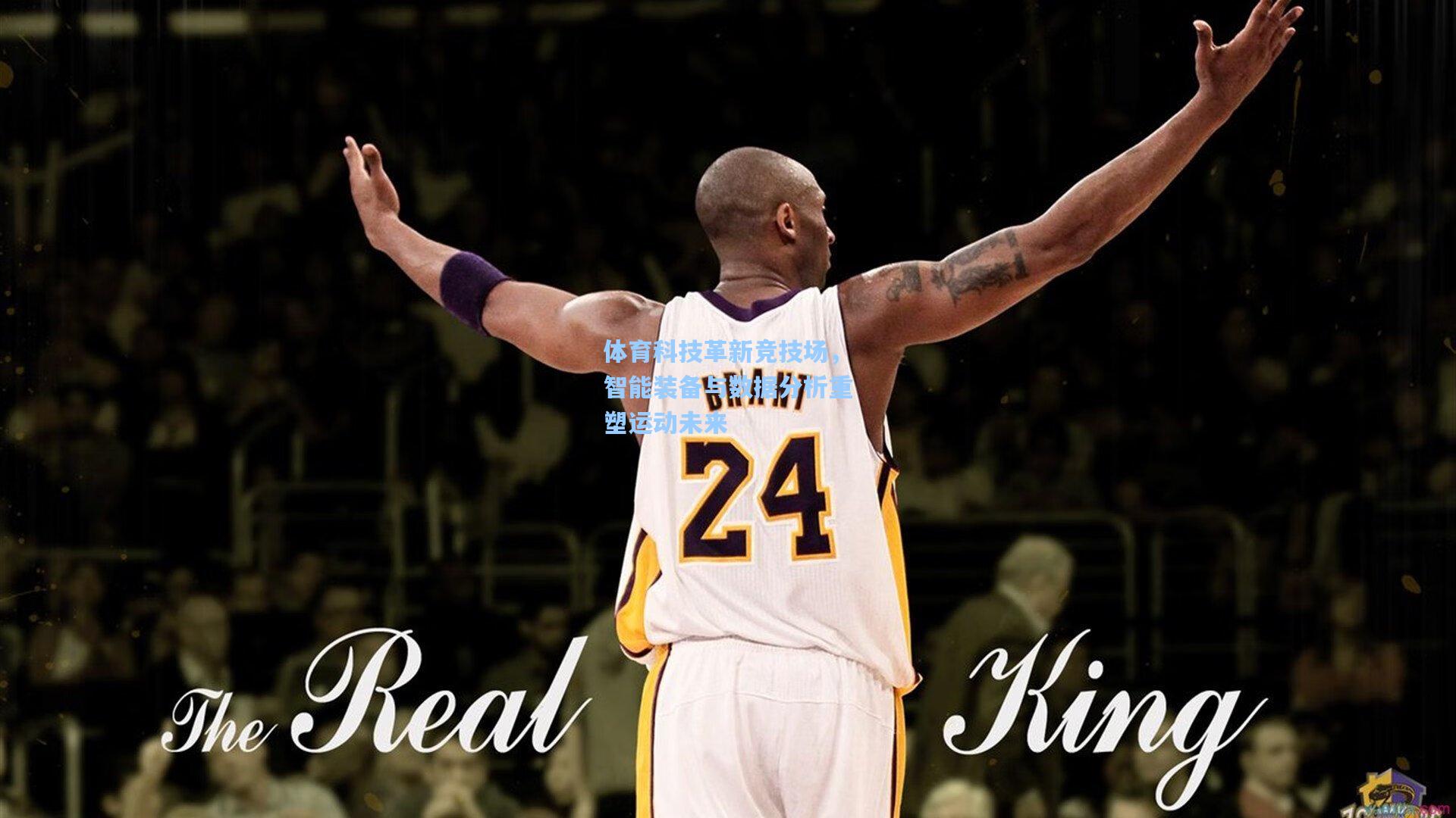 体育科技革新竞技场,智能装备与数据分析重塑运动未来