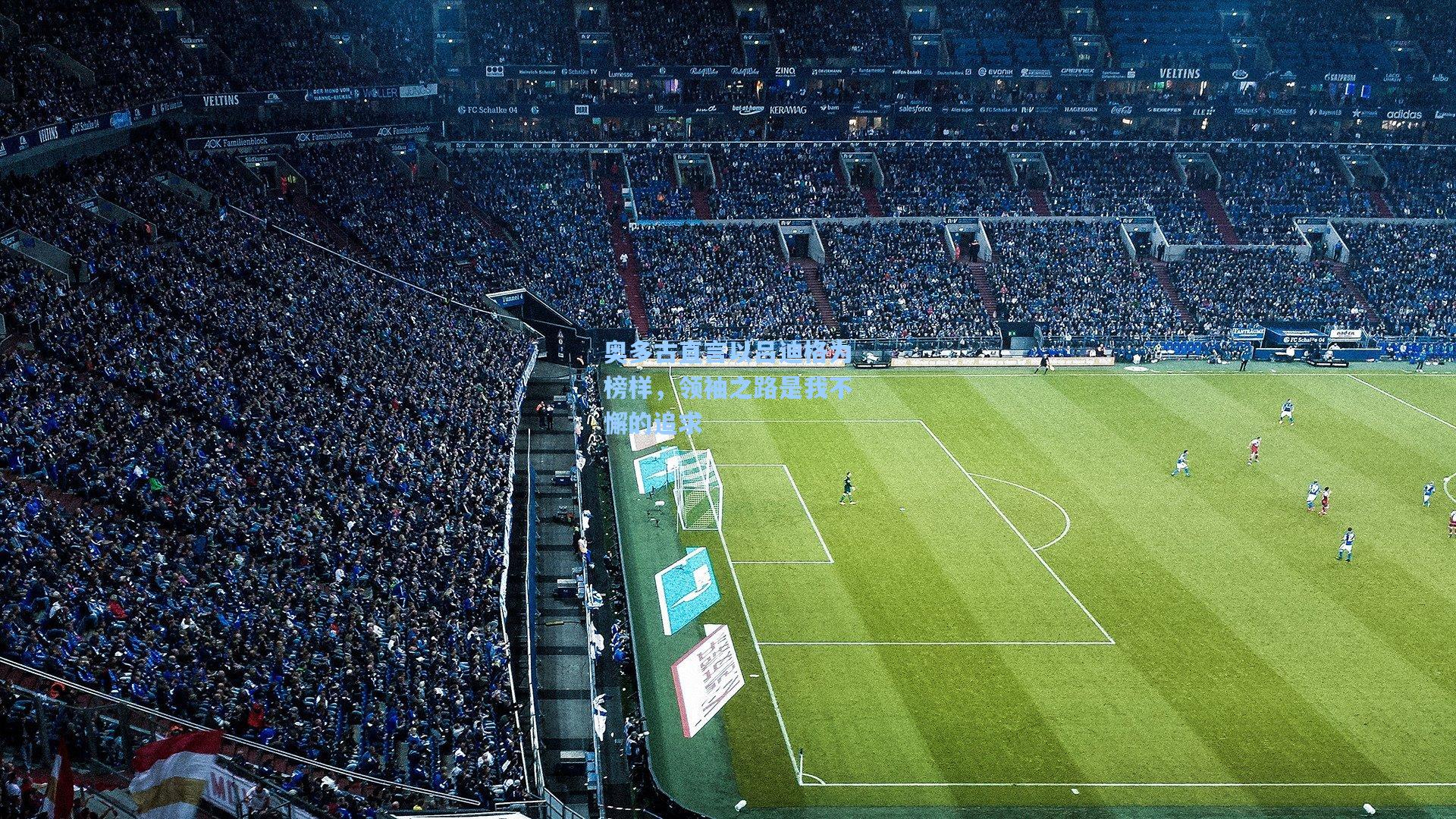 爱游戏app-奥多古直言以吕迪格为榜样，领袖之路是我不懈的追求